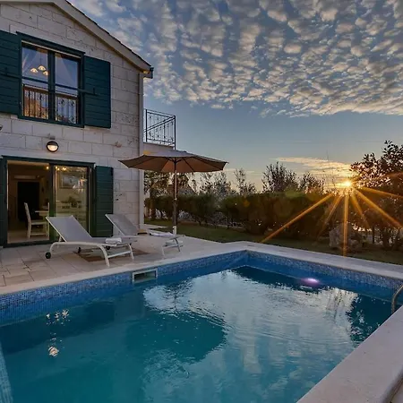 Fico - Exklusiv فيلة